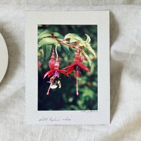 Wild Flower Stationary Card - Picture 7 of 15